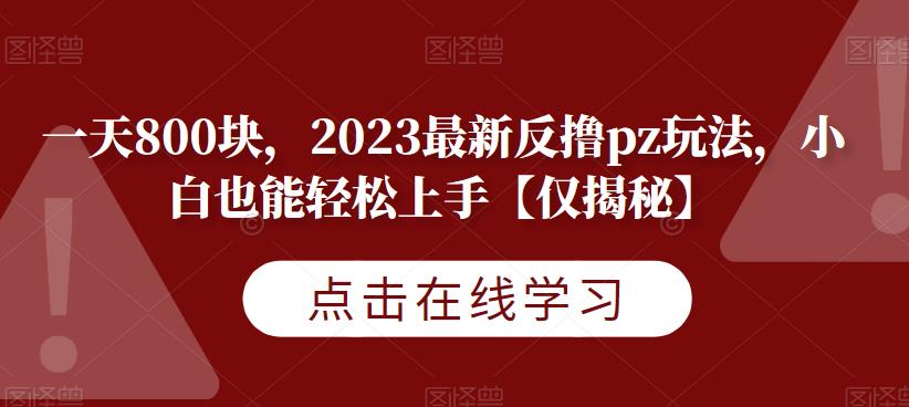 一天800块，2023最新反撸pz玩法，小白也能轻松上手【仅揭秘】-副业网