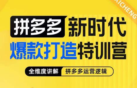 玺承·拼多多新时代爆款打造特训营，全维度讲解拼多多运营逻辑-副业网