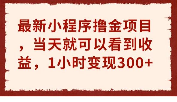 最新小程序撸金项目，当天就可以看到收益，1小时变现300+【揭秘】-副业网