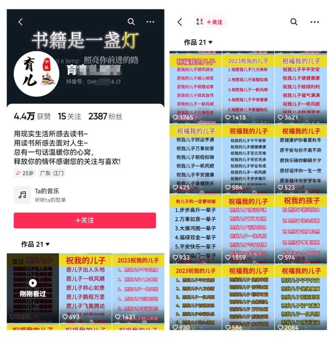 图片[2]-黄岛主·视频号儿女祝福视频引流变现分享课，银发经济新风囗【视频+素材】-副业网