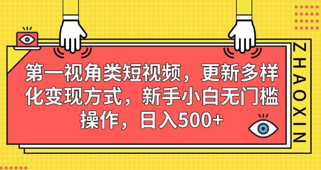 第一视角类短视频，更新多样化变现方式，新手小白无门槛操作，日入500+【揭秘】-副业网