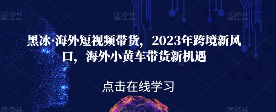 黑冰·海外短视频带货，2023年跨境新风口，海外小黄车带货新机遇-副业网