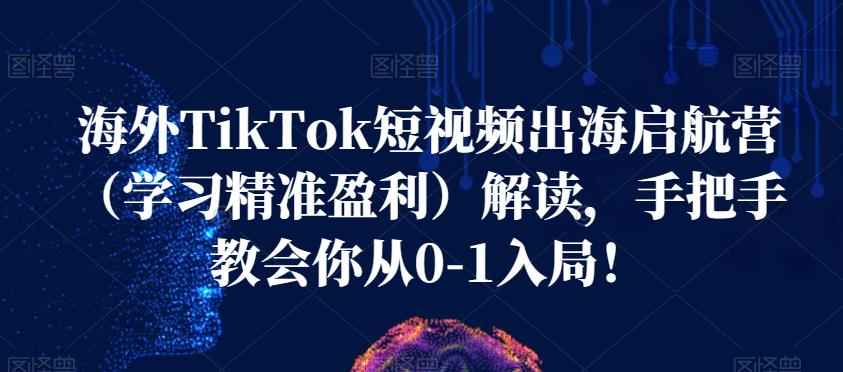 海外TikTok短视频出海启航营（学习精准盈利）解读，手把手教会你从0-1入局！-副业网