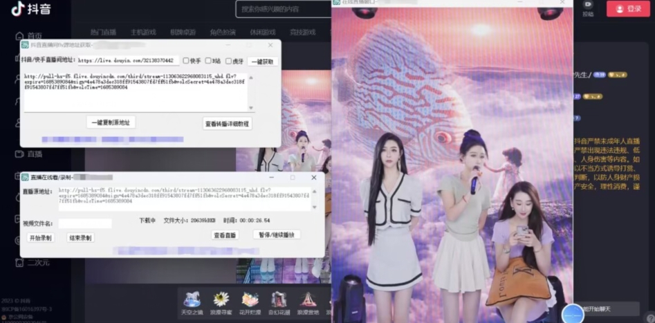 图片[2]-【高端精品】最新电脑版抖音/快手/B站直播源获取+直播间实时录制+直播转播软件【全套软件+详细教程】-副业网