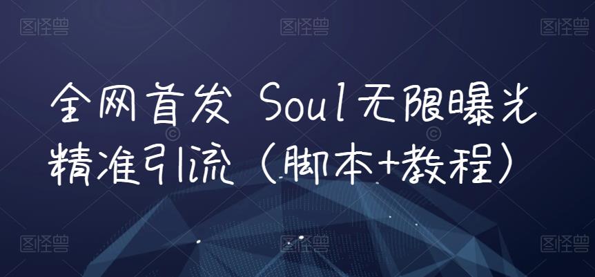 全网首发 Soul无限曝光精准引流（脚本+教程）-副业网
