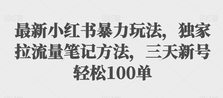 最新小红书暴力玩法，独家拉流量笔记方法，三天新号轻松100单【揭秘】-副业网