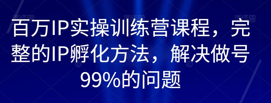百万IP实操训练营课程，完整的IP孵化方法，解决做号99%的问题-副业网