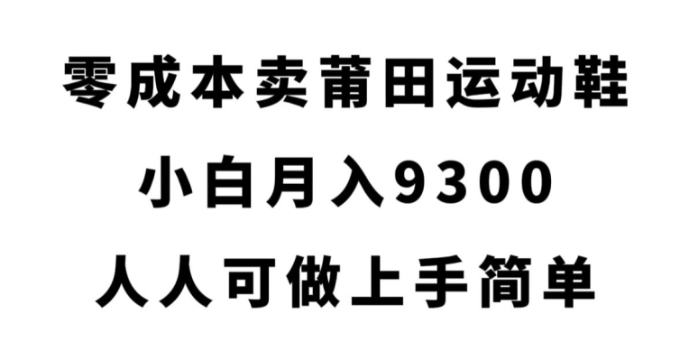 零成本卖莆田运动鞋，小白月入9300，人人可做上手简单【揭秘】-副业网