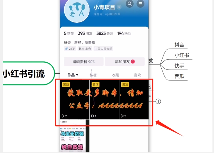 图片[2]-AI辅助无脑搬运小红薯爆款笔记矩阵操作无限引流创业粉【揭秘】-副业网