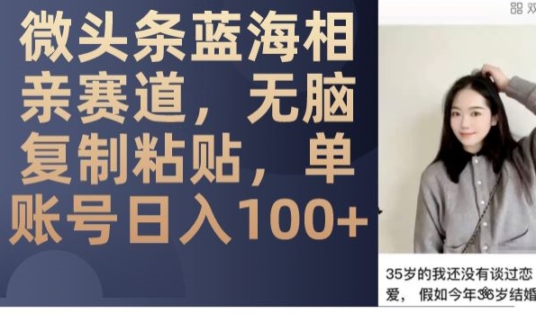 微头条蓝海相亲赛道，无脑复制粘贴，单账号日入100+-副业网