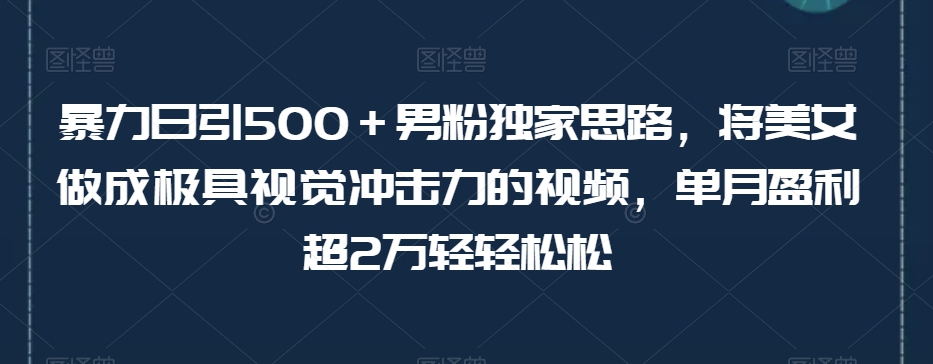 暴力日引500＋男粉独家思路，将美女做成极具视觉冲击力的视频，单月盈利超2万轻轻松松-副业网