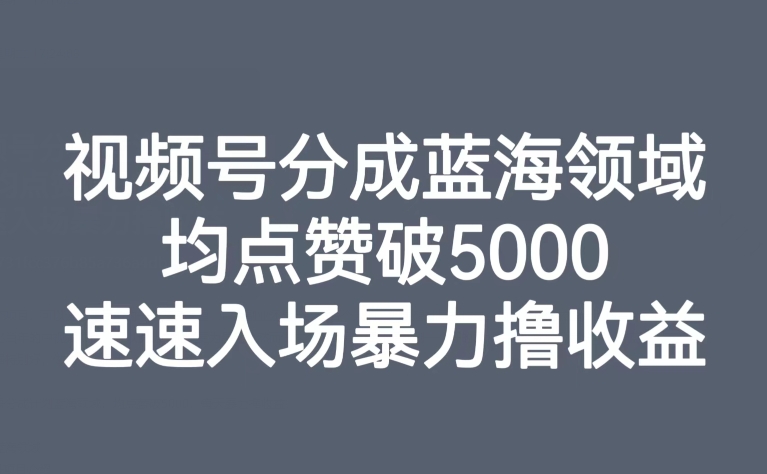 视频号分成蓝海领域，均点赞破5000，速速入场暴力撸收益-副业网
