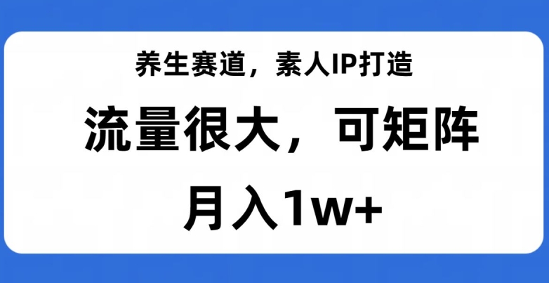 养生赛道，素人IP打造，流量很大，可矩阵，月入1w+【揭秘】-副业网
