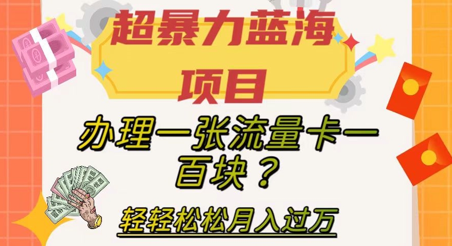 超暴力蓝海项目，办理一张流量卡一百块？轻轻松松月入过万，保姆级教程【揭秘】-副业网