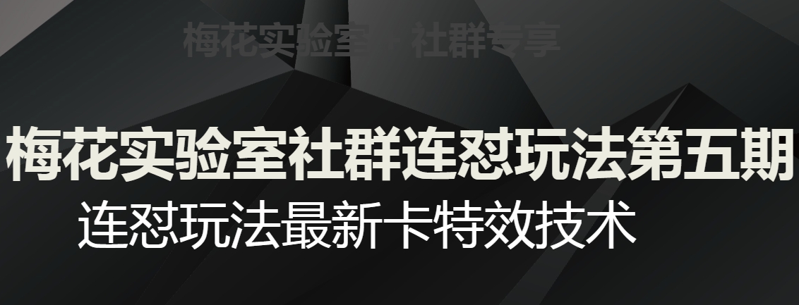 梅花实验室社群连怼玩法第五期，视频号连怼玩法最新卡特效技术-副业网