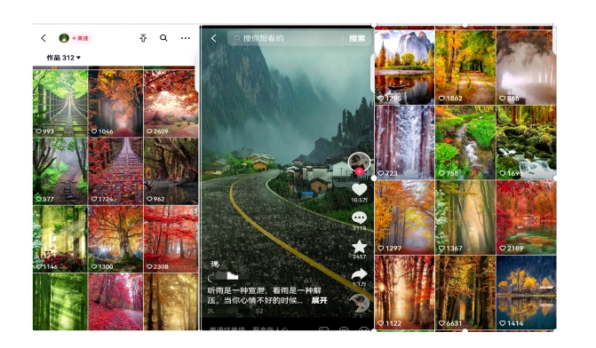 图片[2]-黄岛主副业拆解：抖音风景号视频变现副业项目，一条龙玩法分享给你-副业网