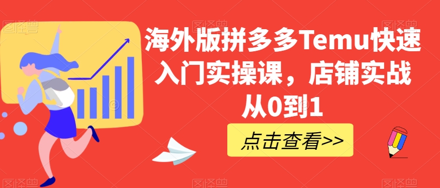 海外版拼多多Temu快速入门实操课，店铺实战从0到1-副业网