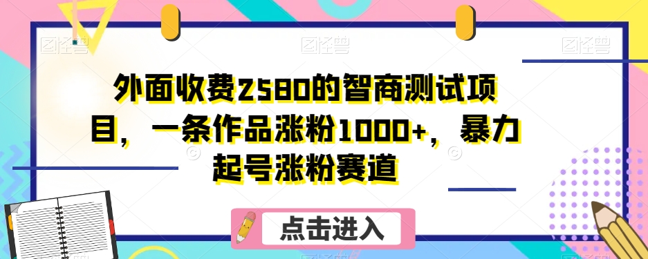 外面收费2580的智商测试项目，一条作品涨粉1000+，暴力起号涨粉赛道【揭秘】-副业网