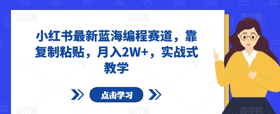 小红书最新蓝海编程赛道，靠复制粘贴，月入2W+，实战式教学【揭秘】-副业网