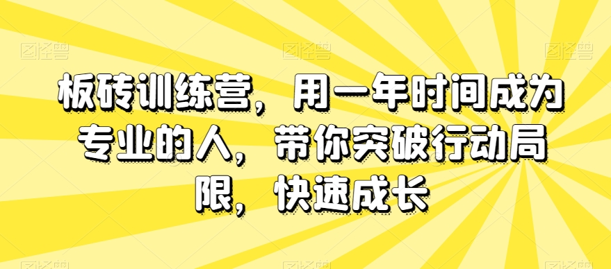 板砖训练营，用一年时间成为专业的人，带你突破行动局限，快速成长-副业网