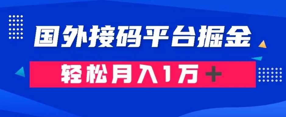 通过国外接码平台掘金：成本1.3，利润10＋，轻松月入1万＋【揭秘】-副业网