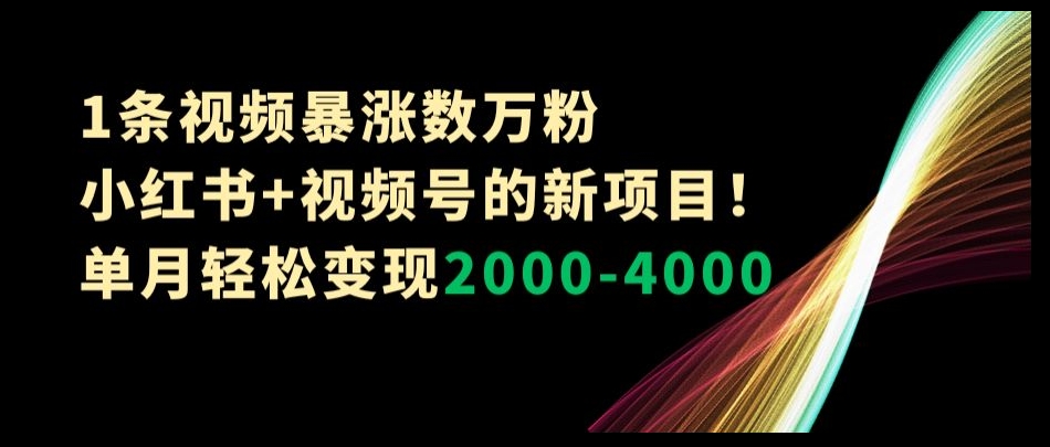 1条视频暴涨数万粉–小红书+视频号的新项目！单月轻松变现2000-4000【揭秘】-副业网