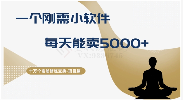 十万个富翁修炼宝典之17.一个刚需小软件，每天能卖5000+-副业网