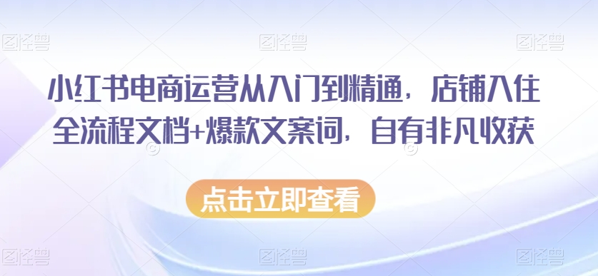 小红书电商运营从入门到精通，店铺入住全流程文档+爆款文案词，自有非凡收获-副业网