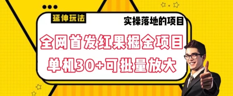 全网首发红果免费短剧掘金项目，单机30+可批量放大【揭秘】-副业网