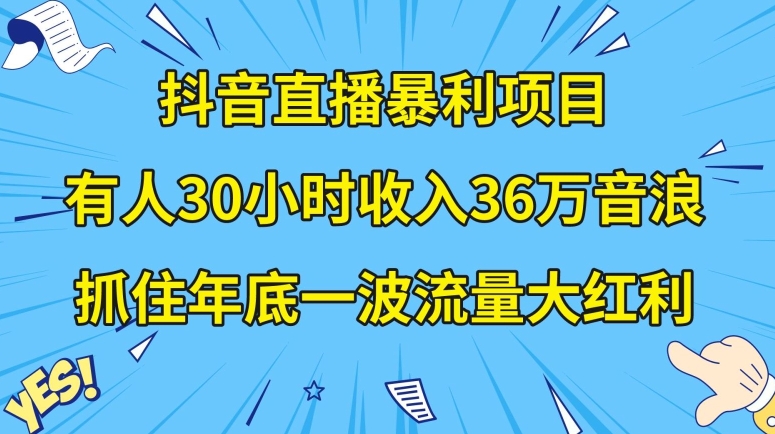 抖音直播暴利项目，有人30小时收入36万音浪，公司宣传片年会视频制作，抓住年底一波流量大红利【揭秘】-副业网