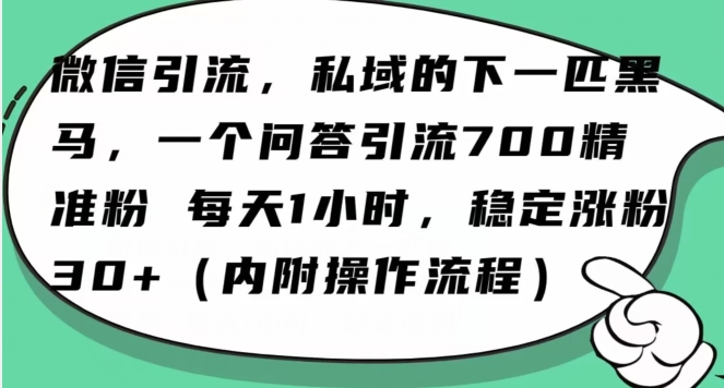 怎么搞精准创业粉？微信新赛道，每天一小时，利用Ai一个问答日引100精准粉-副业网