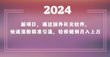 2024新项目，通过国外社交软件，快速涨粉精准引流，轻松做到月入上万【揭秘】-副业网