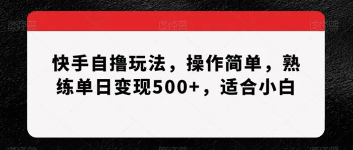 快手自撸玩法，操作简单，熟练单日变现500+，适合小白【揭秘】-副业网
