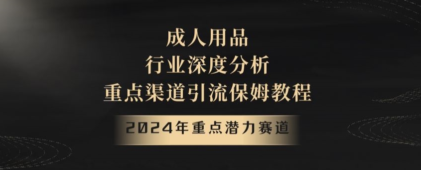 2024年重点潜力赛道，成人用品行业深度分析，重点渠道引流保姆教程【揭秘】-副业网