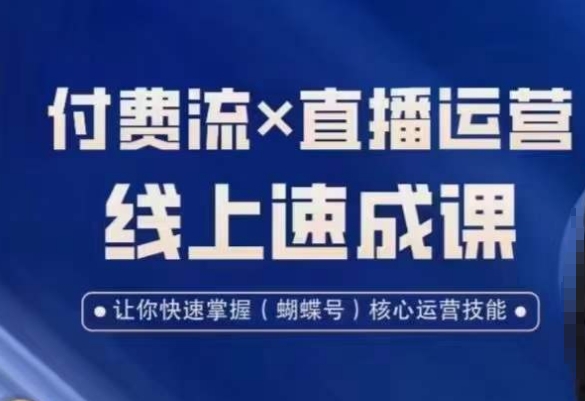 视频号付费流实操课程，付费流✖️直播运营速成课，让你快速掌握视频号核心运营技能-副业网
