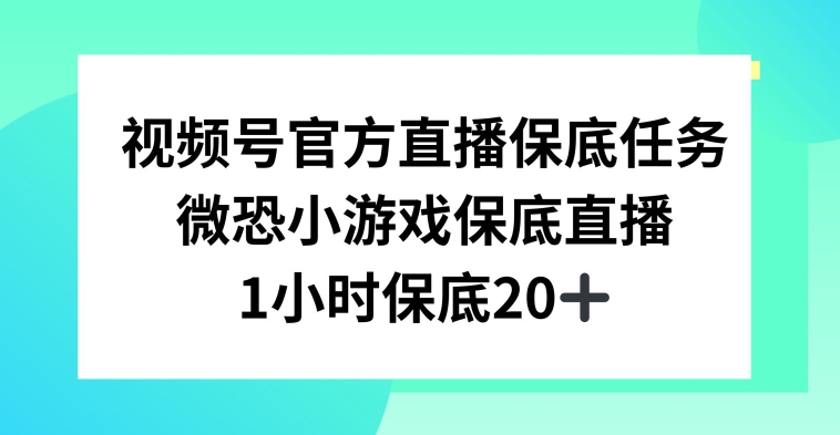 视频号直播任务，微恐小游戏，1小时20+-副业网