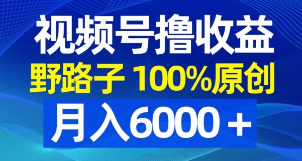 视频号野路子撸收益，100%原创，条条爆款，月入6000＋-副业网