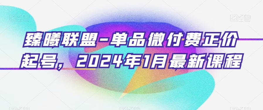臻曦联盟-单品微付费正价起号，2024年1月最新课程-副业网