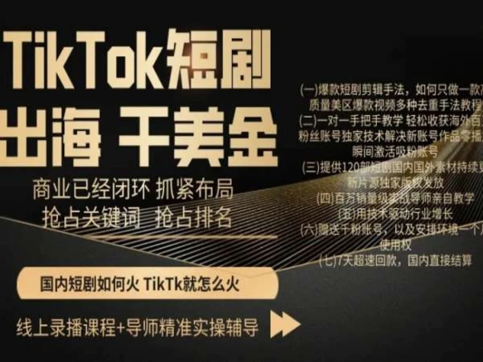 TikTok短剧出海干美金，商业已经闭环抓紧布局，抢占关键词抢占排名-副业网