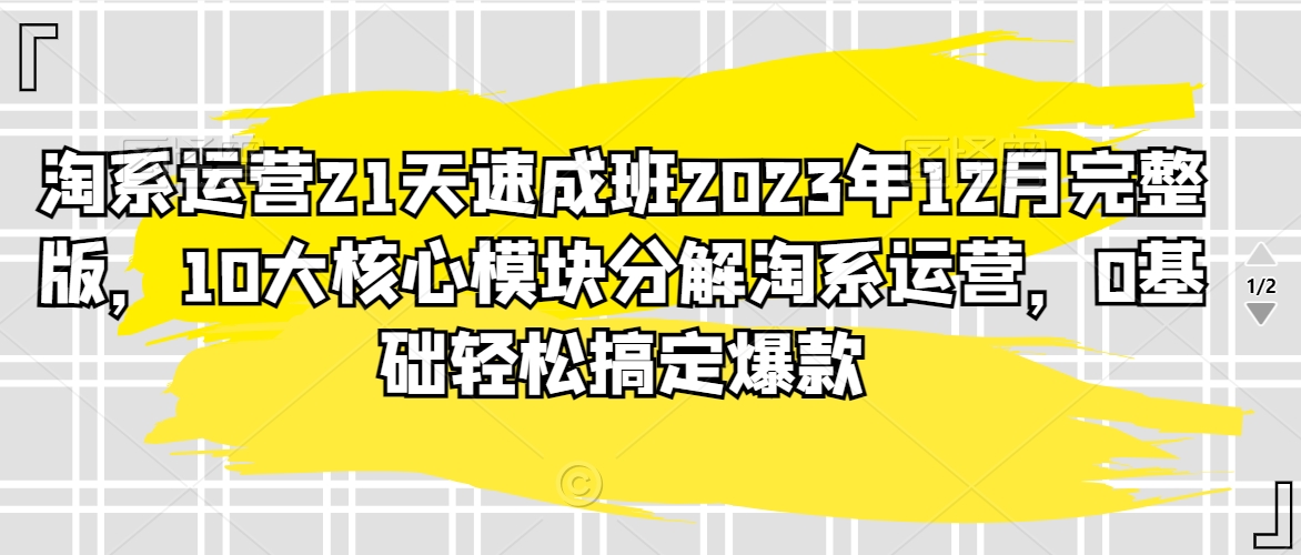 淘系运营21天速成班2023年12月完整版，10大核心模块分解淘系运营，0基础轻松搞定爆款-副业网
