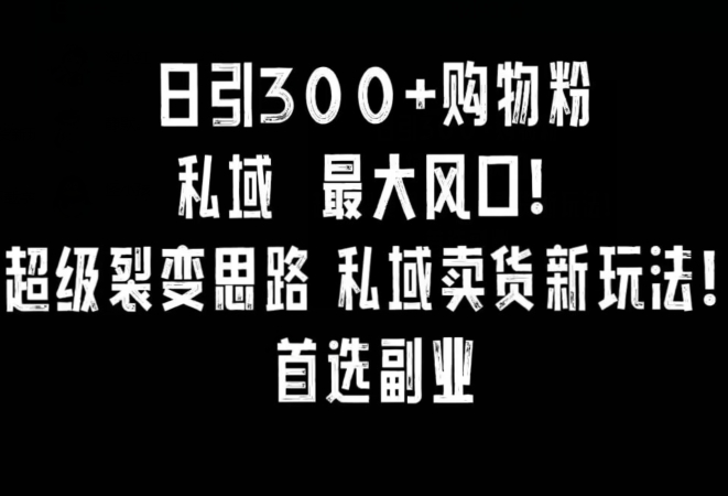 日引300+购物粉，超级裂变思路，私域卖货新玩法，小红书首选副业-副业网