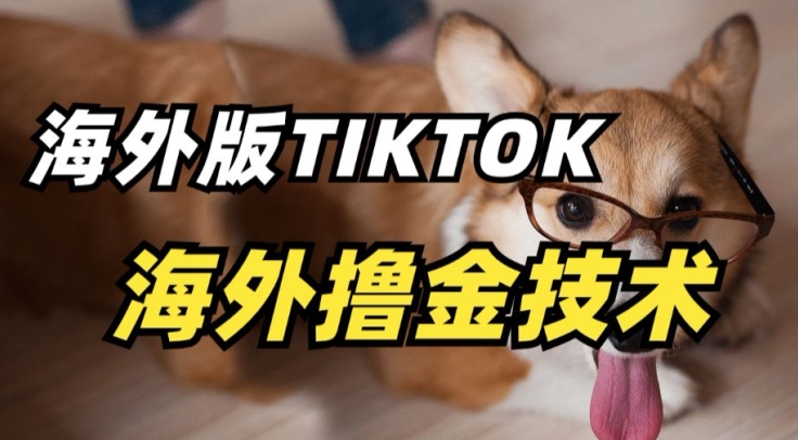 抖音海外版tiktok撸金技术，这个风口行业，赚钱真的不难-副业网