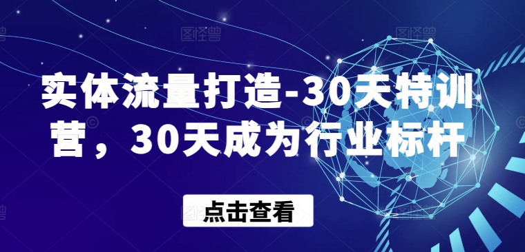实体流量打造-30天特训营，30天成为行业标杆-副业网