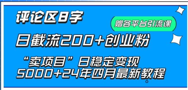 抖音评论区8字日截流200+创业粉 “卖项目”日稳定变现5000+-副业网