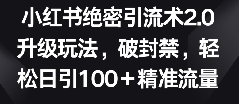 小红书绝密引流术2.0升级玩法，破封禁，轻松日引100+精准流量-副业网