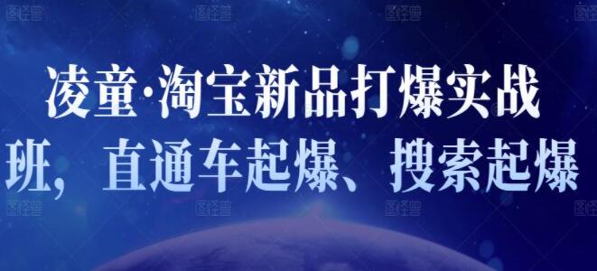凌童《新品打爆实战班》,一套完整的实操实战落地方法，打爆链接超2000+（28节课)-副业网