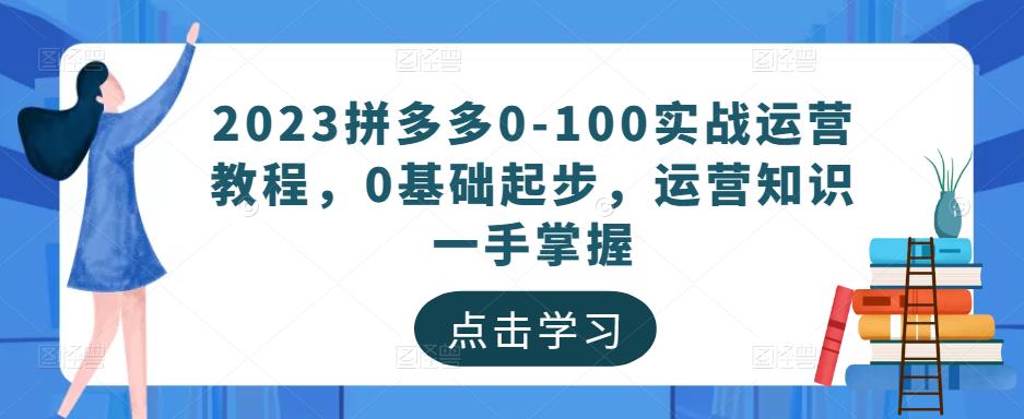 2023拼多多0-100实战运营教程，0基础起步，运营知识一手掌握-副业网