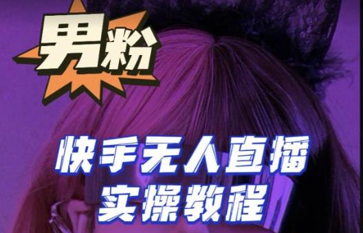 【男粉落地项目】零基础玩转男粉快手无人直播月入3w+，2023快手无人直播实操教程-副业网