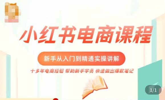 小红书电商新手入门到精通实操课，从入门到精通做爆款笔记，开店运营-副业网