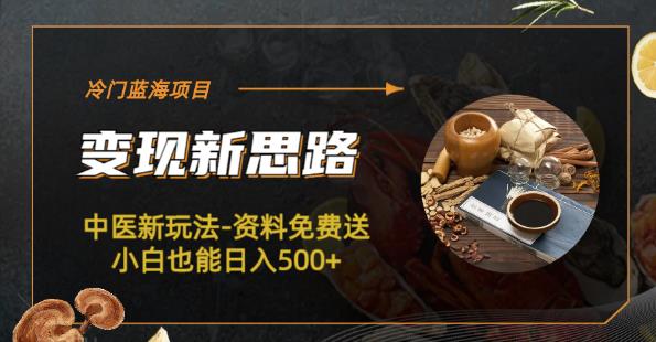 冷门蓝海项目-中医新玩法-资料免费送小白也能日入500+【揭秘】-副业网